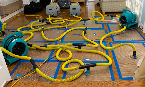 Professional Crawl Space Water Removal technician working in Bedford, VA